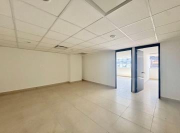 Oficina 67m² Renta Anzures · Renta de Oficinas Anzures 67 m² Recién Remodelada