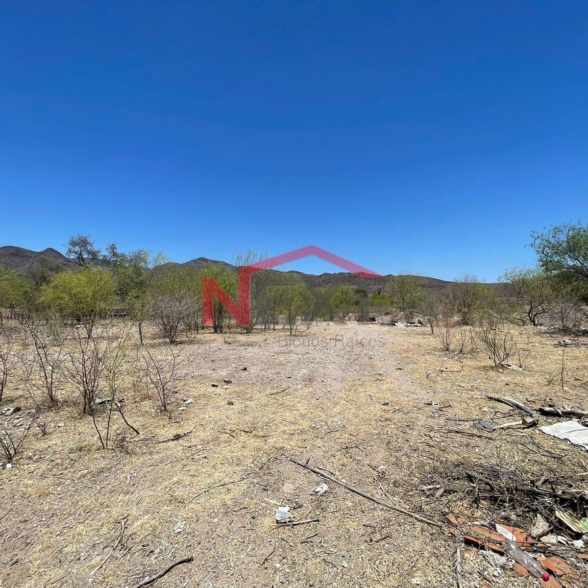 Land for Sale Located in Álamos, Sonora.