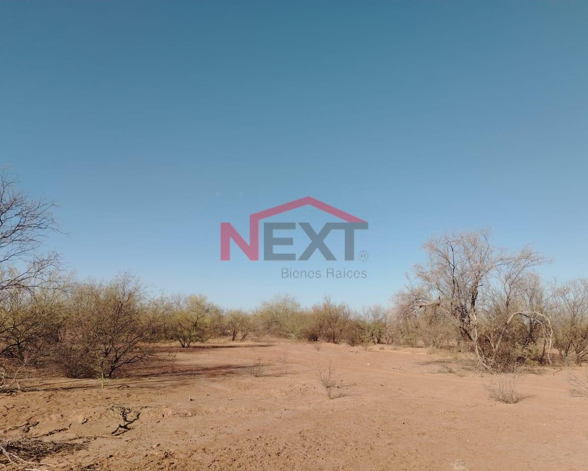 Vacant Land for Sale in El Tojungo