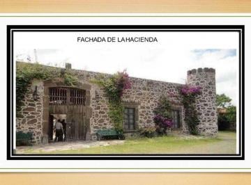 Rancho de 9 habitaciones, Huichapan · Rancho con 600 Has Superficie de Terreno y 9 Dorm. en Venta en Huichapan, Hgo.