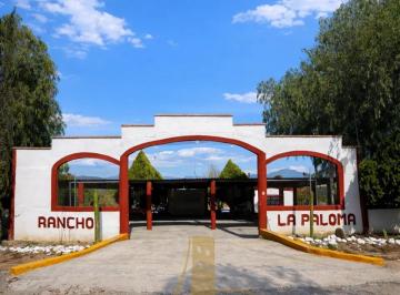 1 · Exclusiva Quinta Campestre con Alberca y Amplio Terreno en Ramos Arizpe