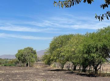 Terreno industrial , Tlajomulco de Zúñiga · Terreno en Venta de 15.5 Ha