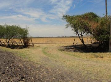 Terreno industrial , Tlajomulco de Zúñiga · Terreno en Venta Superficie de 15 Hectáreas