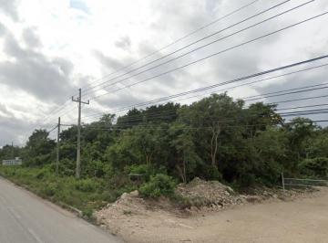 Terreno comercial · 32553m² · Terreno Comercial Sobre La Carretera, Puerto Morelos