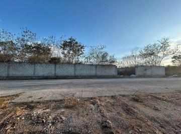 Terreno comercial , Mérida · Terreno Comercial en Renta Cholul