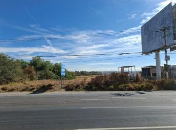 Terreno / Lote , San Francisco de los Romo · Rmc - Terreno en Renta Frente a Flex Sobre Salida a Zacatecas