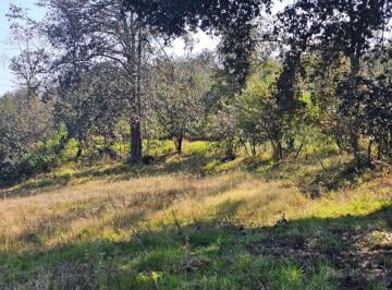Terreno / Lote , Huasca de Ocampo · Terreno de 600 m² en Venta en Huasca de Ocampo