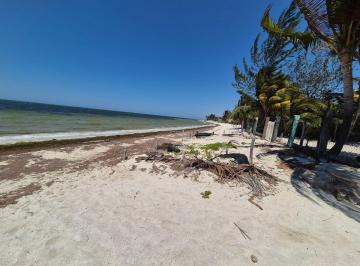 Casa de 3 habitaciones, Sinanché · Negocio de Renta en Venta. San Crisanto, Yuc