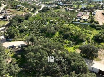f74390d4b52768f48becc5f5a259579ff88c4dbb262ce17dc963bdab7f691281 · 5000 m² en Una Loma con Excelente Vista en Valle de Guadalupe