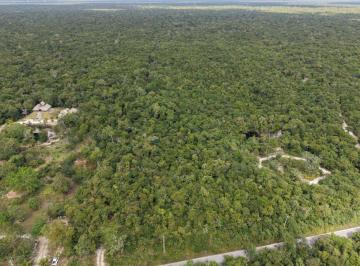 Terreno / Lote , Puerto Morelos · En Venta Terreno de 4600 m² Ruta de Los Cenotes Altura Cenote Kim Ha