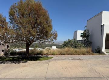Terreno / Lote · 350m² · Terreno en Privadas del Pedregal