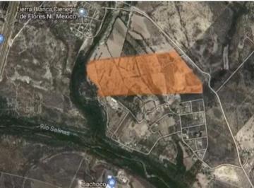Terreno / Lote · 354000m² · Terreno en Ciénega de Flores