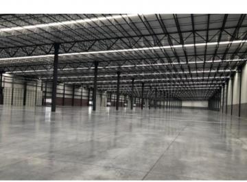 1 · Bodega en Guadalupe Limites Apodaca
