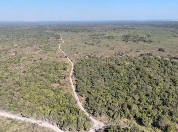 Terreno / Lote · 320000m² · Terreno en Venta en Umán, Yucatán.