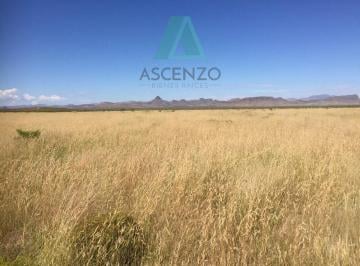 Rancho · 2570000m² · Rancho Agrícola en Venta por Ojo Laguna Carr. Cd Juarez