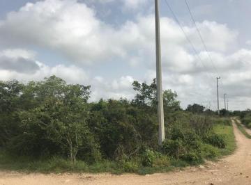 Terreno / Lote · 2888m² · Terreno en Venta Ubicado en Las Quintas Cholul.