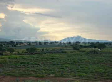 Terreno / Lote · 10000m² · Terreno en Venta en Amatitan