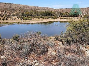 Rancho · 16340000m² · ¡Oferta Única! Venta de Rancho Ganadero en San Pedro del Gallo, Dgo. Davsa