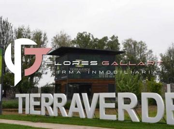 Terreno / Lote · 439m² · Terreno en Venta en Tierra Verde Al Norte de La Ciudad de Aguascalientes
