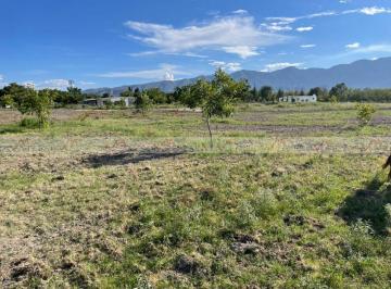 Terreno / Lote · 500m² · Terreno / Lote en Venta en Parras