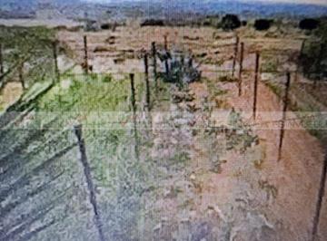 Terreno / Lote · 1056m² · 3 Recámaras · Terreno / Lote en Venta en Marin