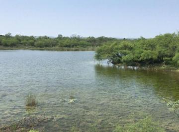 2e6ada1e2c93fb371fc29ad0db4a642b960c492e1b6d756d53a061e40a1b2def · Venta de Rancho a Puerta Cerrada en Tamaulipas