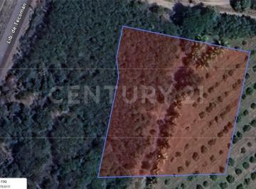 Terreno / Lote · 7019m² · Terreno en Renta en Tecoman, Col