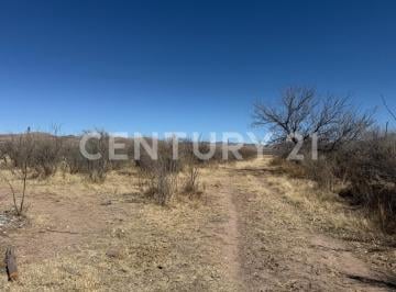 Terreno / Lote · 37700m² · Terreno en Venta Km 27 Carretera Cd. Juárez, Chihuahua