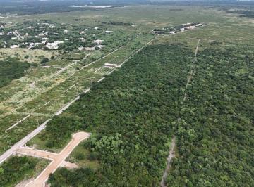 Terreno / Lote , Conkal · Terreno de 4.77 Hectáreas en Venta, en Conkal.
