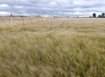 Terreno / Lote , El Llano · Lotes Campestres de 1,000 m Cuadrados Cerca de Santa Rosa Oportunidad Única