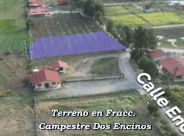 Terreno / Lote , Arteaga · Terreno Lote Campestre Fracc. Dos Encinos
