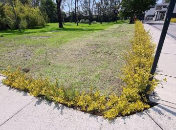 Terreno / Lote · 525m² · Terreno en Fraccionamiento Privado en Vista Hermosa