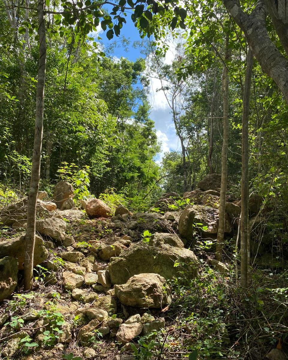 1 - Hectare Land Near Playa del Carmen Mexico $55,000usd