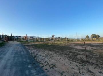 Terreno / Lote · 2360m² · Terreno en Venta - Valle de Guadalupe, Ensenada B. C.