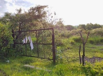 Terreno industrial , Tala · 36 Ha a $94 m² en San Isidro Mazatepec en Venta Uso Mixto