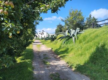Terreno / Lote , Huamantla · Terreno en Venta Zona Huamantla Tlaxcala Fracionamiento Habitacional a 5 Minutos Centro Huamantla