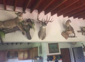 Rancho en Venta de 3 habitaciones Bellavista · Rancho Cinegético y Ganadero Cerca de Monterrey