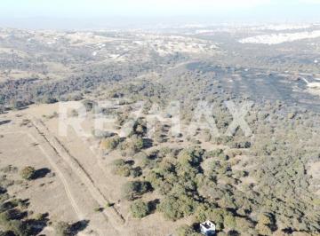 Terreno comercial · 60000m² · Hectáreas en Venta en Haras del Bosque - (4)