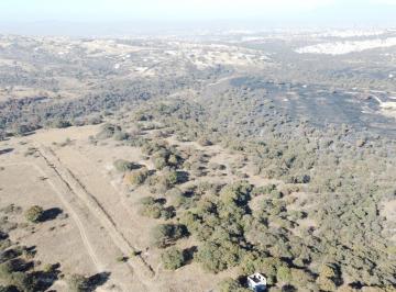 Terreno comercial · 60000m² · Hectáreas en Venta en Haras del Bosque - (4)