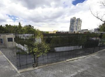 Oficina · 7350m² · 116 Estacionamientos · Oficina Renta Altavista 262 m² Pb