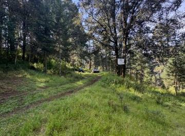 Terreno / Lote , Huixquilucan · Terreno de 1 Hectárea, con Acceso Privado a 5 Minutos de Reseva Santa Fe