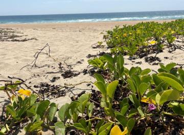 Terreno / Lote , Tomatlán · Terreno en Playa Costa Alegre, La Gloria, Tomatlán, Jalisco Escriturado