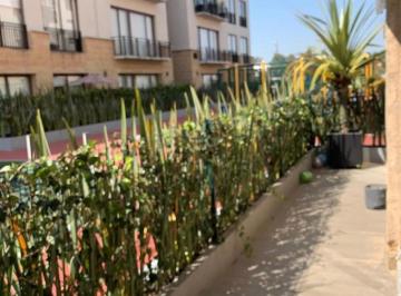 VENTA DE DEPARTAMENTO EN AVENIDA TOLUCA EQUUS · Venta de Departamento en Av Toluca Equus