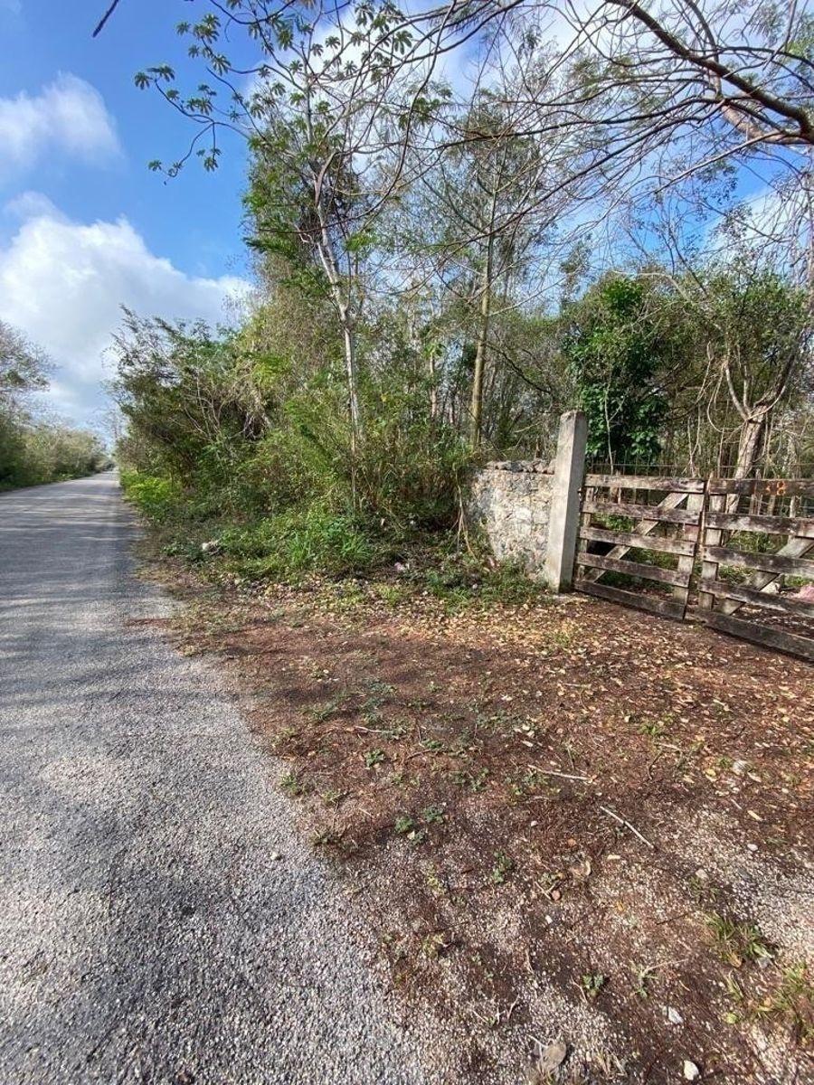 Land Near Mérida and Chichen Itza, Private Property on Highway