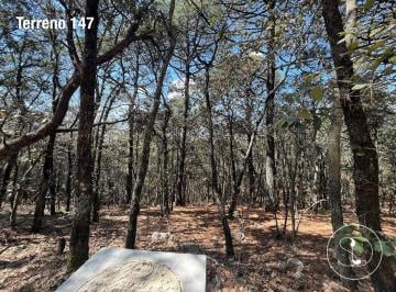 Terreno / Lote , Amealco de Bonfil · Terreno en Venta en Laguna de Servin - 9837 m²