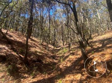 Terreno / Lote , Amealco de Bonfil · Terreno en Venta en Laguna de Servin - 9837 m²