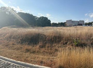 Terreno / Lote , Amozoc · Terreno en Venta Haras en Remate