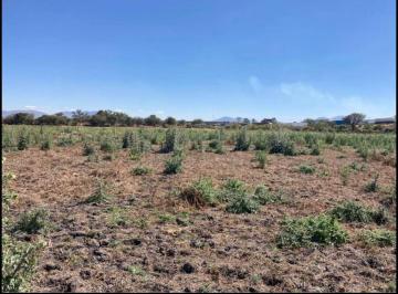 Terreno / Lote , Ixtlahuacán de los Membrillos · Terreno de 10427 m² en Venta en Ejido Santa Rosa