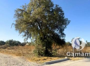 1 · Terreno en Venta | Zempoala, Hidalgo.