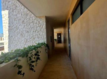 Departamento de 1 habitación, Mérida · Departamento en Renta en Mérida, Yucatan